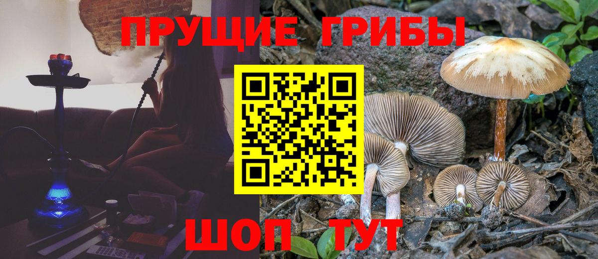 Галлюциногенные грибы прущие грибы Можайск